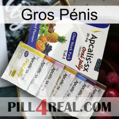 Gros Pénis 11